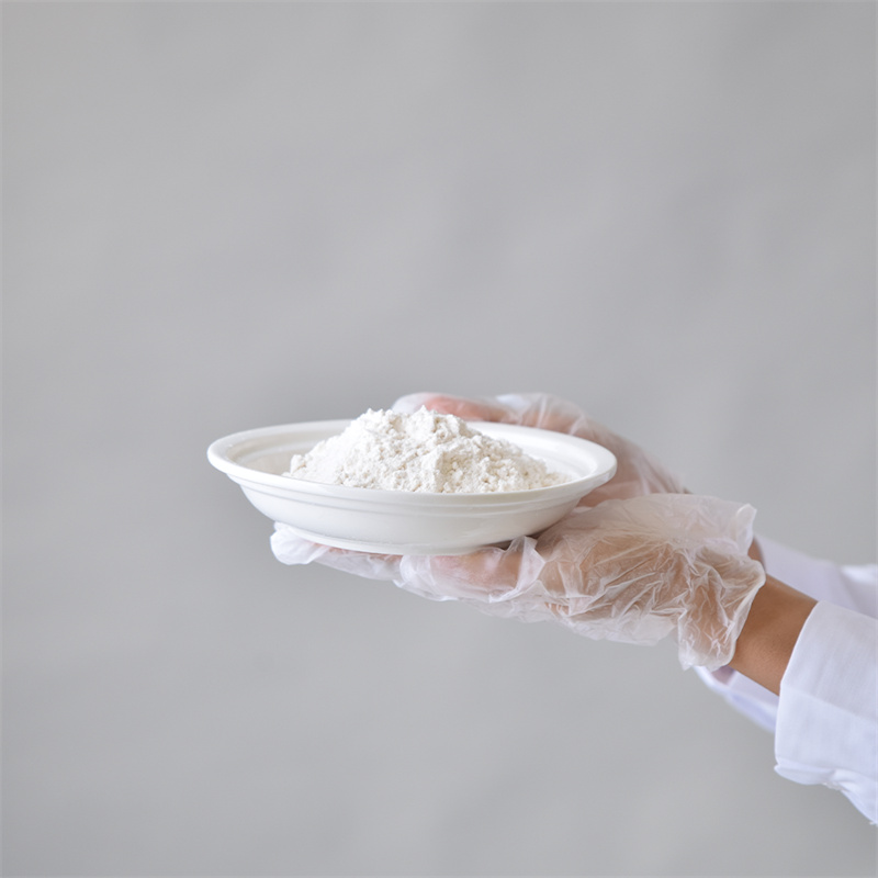 نمک دی سدیم آدنوزین 5- تری فسفات CAS 987-65-5