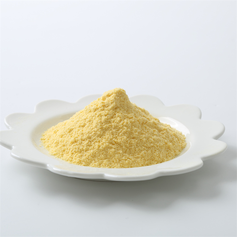 آمفوتریسین B CAS 1397-89-3